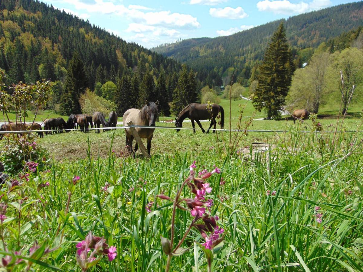 Penzion Medvedin Dolni Misecky Bagian luar foto